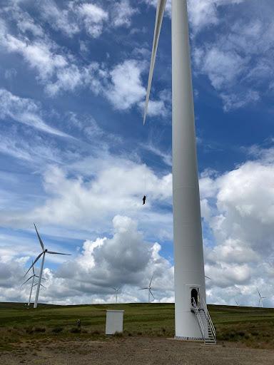 EDF Windfarm