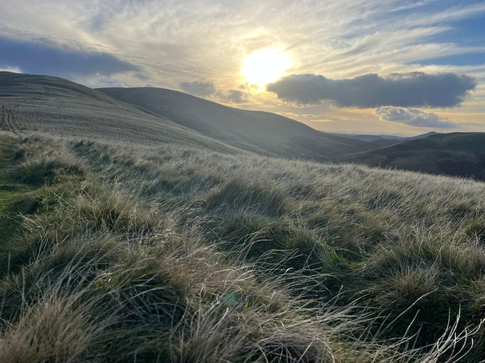 BSARU November 2025 Update